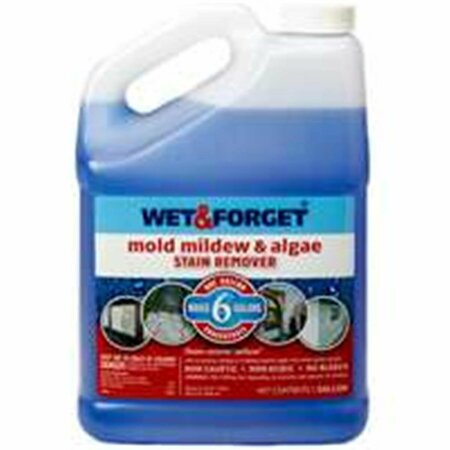 WET & FORGET 800066CA Remover Mildew & Mold - 1 Gallon WE386238